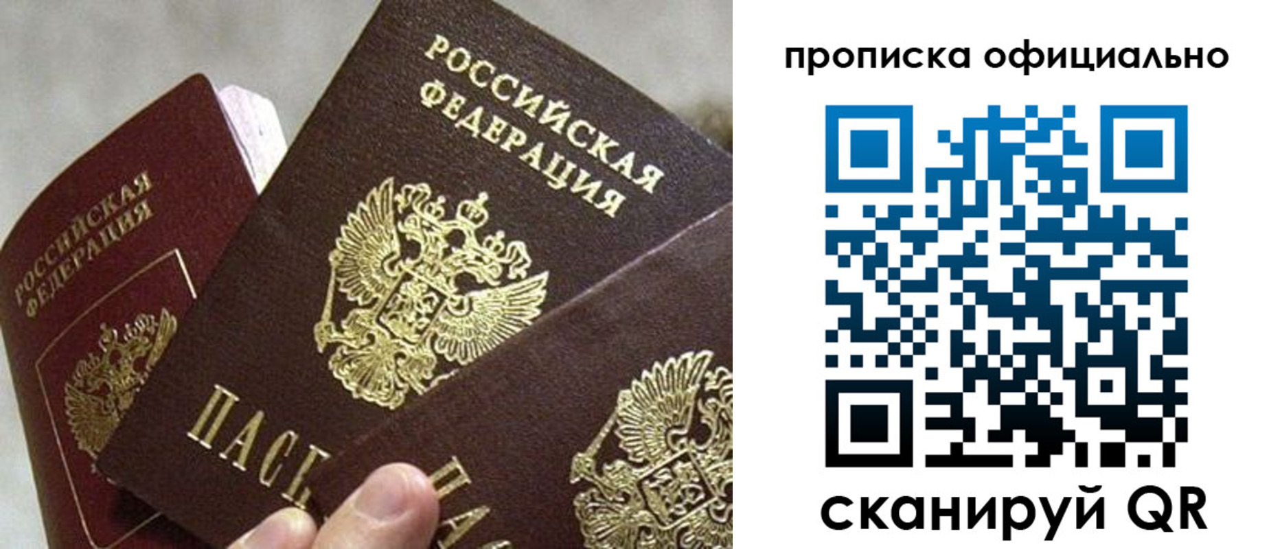 прописка гарантия в Цимлянске